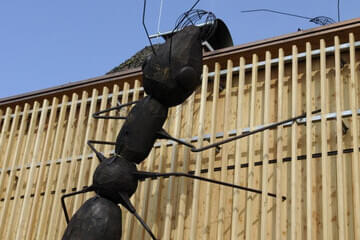 Inszenierung Ameisen und Ameisenhaufen Bild 4